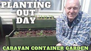 Planting Out Day At The Caravan Container Garden Full Time Caravan Life