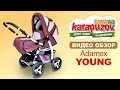 Обзор с испытаниями детской коляски Adamex Young (Адамекс Янг)