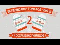 Выращивание томатов в зимний период. Сохранение гибридов. Часть 2.