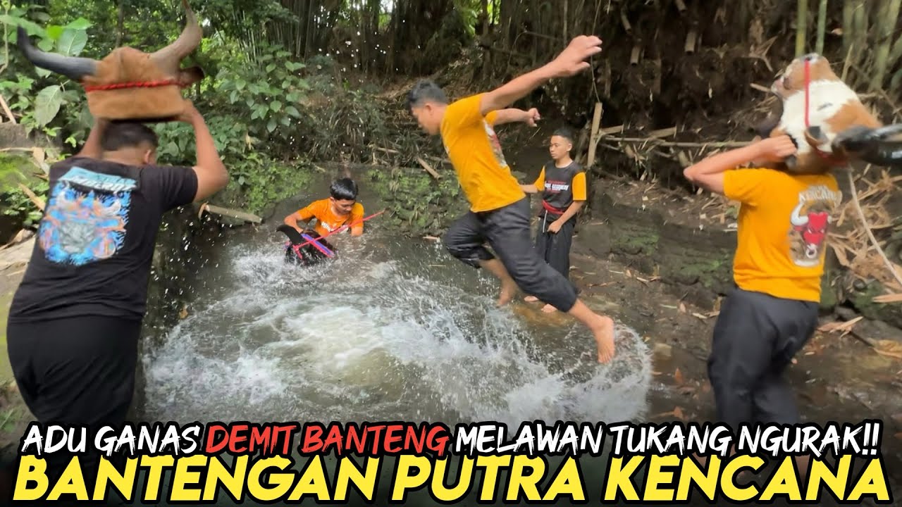 BANTENGAN PUTRA KENCANA KESURUPAN LOMPAT KE KALI!! FULL PLAYON NGURAK DEMIT!!