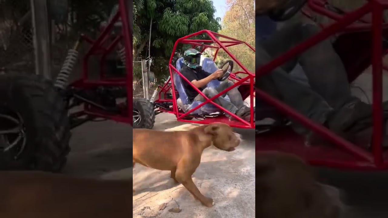 Buggy Off-Road 250cc