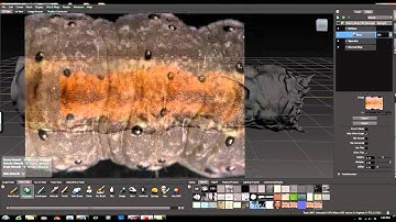 Painting Using Stencils in Mudbox