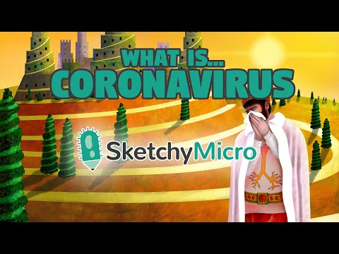 What is Coronavirus? Symptoms & treatment: Viral infection (USMLE Step 1 Review)