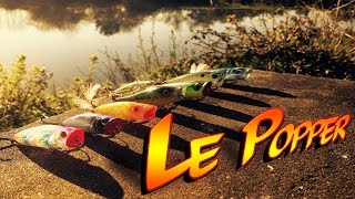 Le Popper : Animations, Techniques, Matériels pour la pêche du Brochet / Perche / Bass au popper
