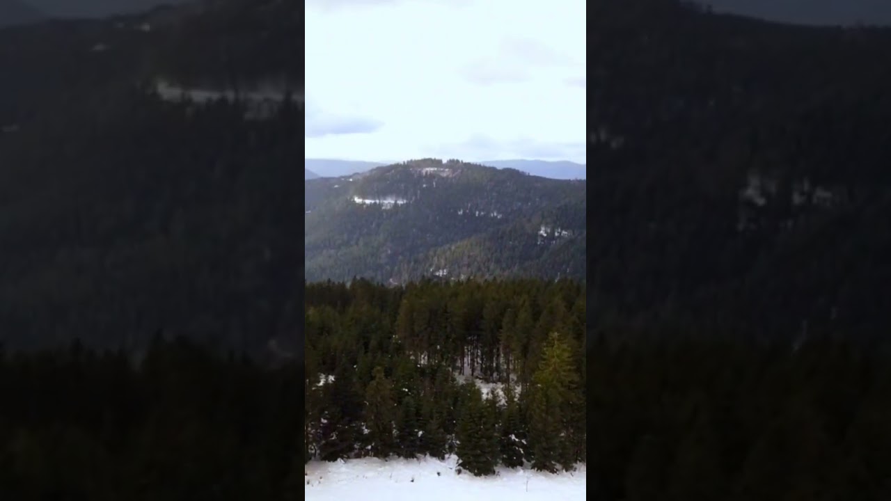 Schwarzwald Winter 2023