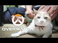 ▶︎▷ OWカスタム|にじさんじのみなさん、アプデはお済ですか¦にじさんじ|夕陽リリ¦にじさんじ