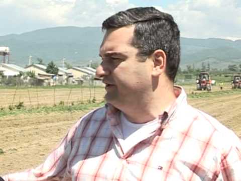 გოროზია ხურვალეთის მეურნეობაში