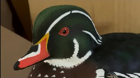 Avian X wood duck review 