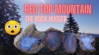 Red Top Mountain WA finding blue grey agates and a giant geode 😲🤘 #realrockhounding