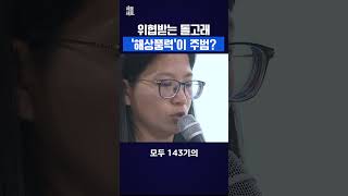해상풍력사업 남방큰돌고래 서식지 위협