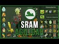 SRAM DE AGILIDAD LVL 200 + SET | DOFUS TOUCH