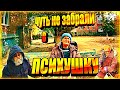 РОДНОЙ ВНУК ВЫГНАЛ ИЗ ДОМА / СНОВА В ИНТЕРНАТ / Вася на сене / Абракадабра / Слово пацана