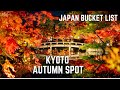 Japan Bucket List : Recommended  Kyoto Trip for Autumn Leaves &amp; Illumination Spot at Eikando Temple