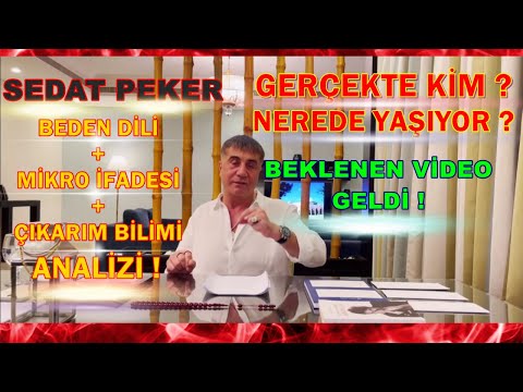 SEDAT PEKER TÜM ANALİZLERİ! Sedat Peker Kim? Şu An Nerede Yaşıyor? Beden Dili Analizi Mikro İfadesi