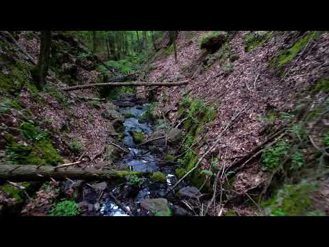 Salih yegin fon müzikler.(Kalandar soğuğu )