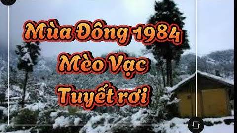 Mèo vạc tuyết rơi