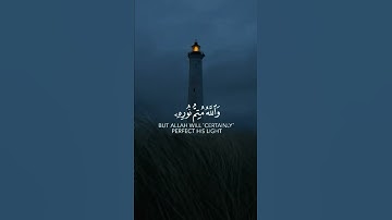 سورة الصف | القارئ أحمد النفيس قرآن كريم حالات واتس اب دينية 📖