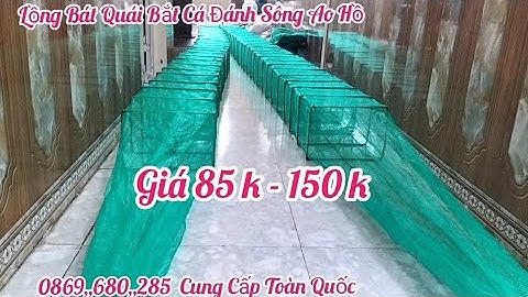 A Chiến Lồng Bát Quái Bắt Cá Tôm Tép Lươn Trạch Cua Ếch Ba Ba Đánh Sông Hồ Ruộng Lúa Rau Muống