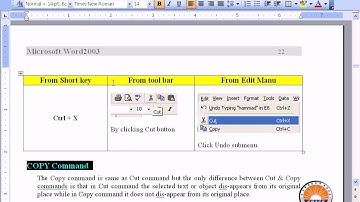 Cut Copy Paste Command in Microsoft Word in Urdu