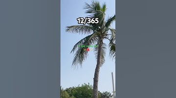 12/365 days #youtubeshorts #shortvideos #viral #minivlog #trending #shorts #ytshorts #short