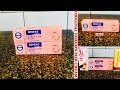 HOW TO IDENTIFY THE ORIGINAL OF BENEKS' FASHION FAIR TUBE CREAM|MABEL A