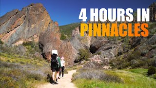 The BEST Short Hike in Pinnacles National Park, California by Scott Fitzgerald 2,095 views 1 year ago 4 minutes