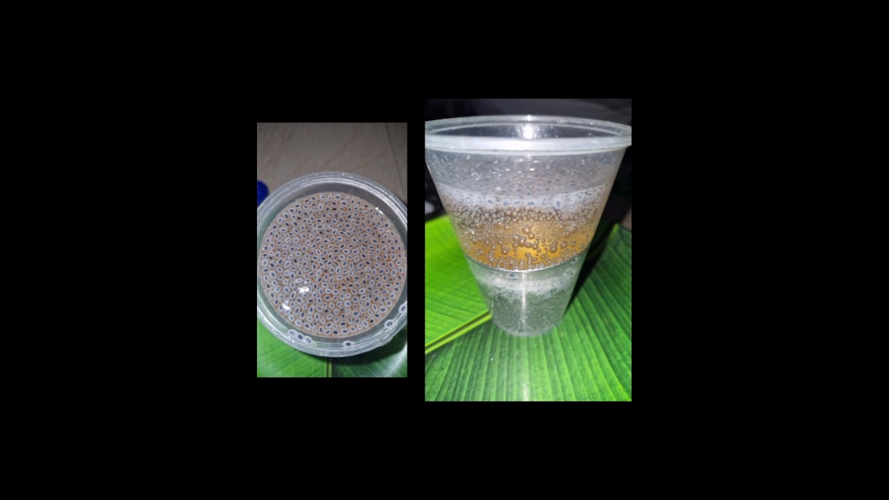 "Fuljar soda :Taste with a Blast !" "India's Most Explosive soda? " 