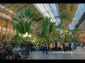 Madrid Atocha train station /  Estacion de Madrid Puerta de Atocha jardín tropical (Spain / Espana)