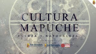 Cultura Mapuche, fuerza y naturaleza