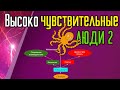 Высоко чувствительные люди 2  Как вернуться к норме