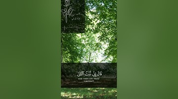 إنما التوبة على الله ｜ رعد الكردي من سورة النساء