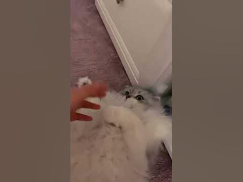 Утро - YouTube