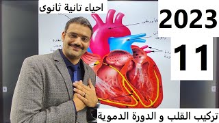 2023 أحياء تانية ثانوى الترم الأول : 11 - النقل فى الانسان جزء أول(القلب و الدورة الدموية)نظام جديد