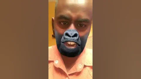 Harambe : I was born in Africa