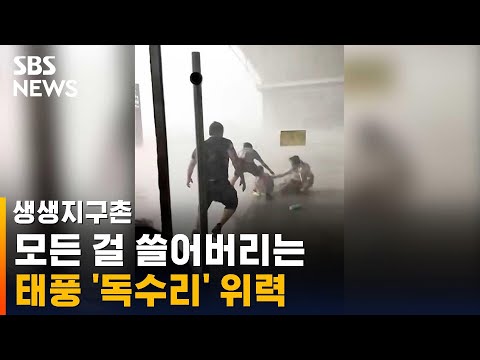 갑자기 덮친 강풍에 시민들 우왕좌왕…태풍 &#39;독수리&#39; 위력 / SBS / 생생지구촌