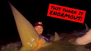 MASSIVE 13 FOOT HAMMERHEAD Caught From The Beach! | Extreme Shark Fishing!