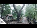 【4K】Tamagawa Josui Walk (3) Rain and Snow in Inokashira Park - Tokyo