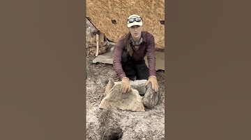 Concealed fire shelter, full video link in comments. #shelter #survival #preparedness #tarpshelter