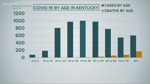 Focus: Understanding COVID-19 numbers