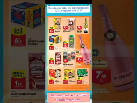 catalogue Aldi du