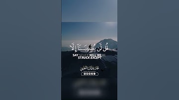 قُل لَّن يُصِيبَنَآ إِلَّا مَا كَتَبَ ٱللَّهُ لَنَا | تلاوة عراقية حزينة 💔 - القارئ نجم النعيمي