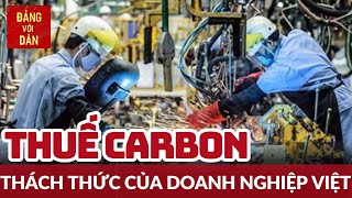 Chính sách thuế carbon: Tác động và thích ứng của doanh nghiệp Việt | Tâm điểm Kinh tế