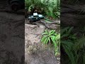 Vs410 ultra #rc4wd #scx10 #trx4 #vanquish #rc #rccrawler #scalerc #axial #traxxas #rcoffroad #arrma