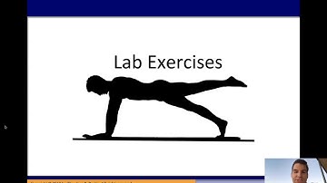 IEE 475: Lab 8, Part 3 - Laboratory Exercise and Instructions