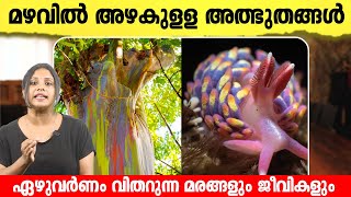 ഏഴ് നിറത്തിലുള്ള മരങ്ങളും ജീവികളും പ്രകൃതിയുടെ അത്ഭുതങ്ങൾ കണ്ടോ | Nature’s Hidden Gems