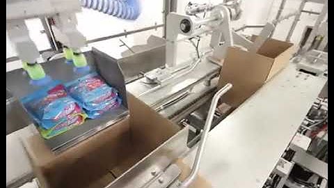 Snacks Packing Robotic Machinery - Horizontal Case Packer Solutions