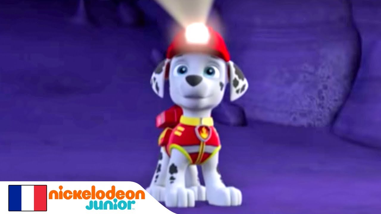 Paw Patrol, La Pat'Patrouille - Zuma sauve Mme le Maire et Galineta ! -  Extrait - Paw Patrol, la Pat'Patrouille