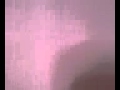 がくっぽいの。「ピンクスパイダー」(hide)