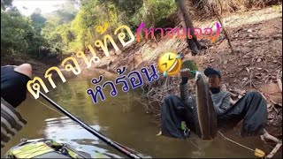 ล่าปลาช่อนฤดูหนาวEP.11 ส่งท้ายฤดูหนาวของปี ตีจนท้อเจอจนได้#fishing #ช่อนใหญ่ #ตกปลา