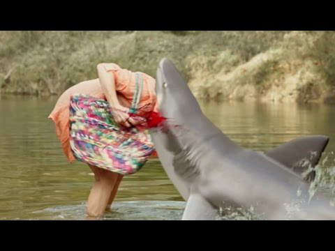 Summer Shark Attack - Trailer Duitse HD - Vanaf 28.04.2017 april XNUMX in de winkels!